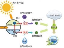 三步辨別甲醛治理好產品——光觸媒