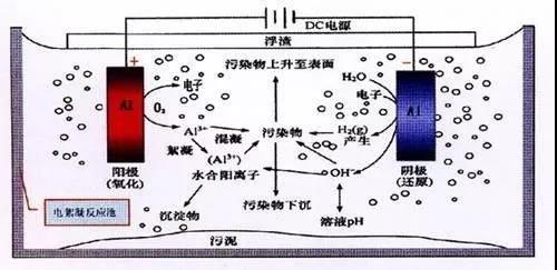 我買了一個(gè)甲醛檢測(cè)儀，吹口氣后發(fā)現(xiàn)原來(lái)我才是“地表最強(qiáng)”污染源！