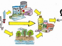 食品中有塑化劑嗎？這些食品中含有大量塑化劑，食用時一定要注意！