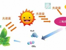 家中甲醛超標，什么才是甲醛治理的正確姿勢？