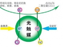 什么除甲醛效果最好呢？